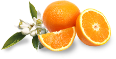 3oranges