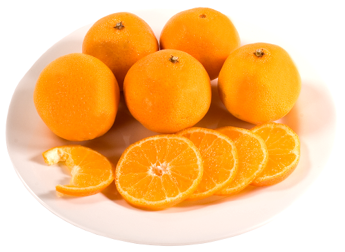 500px SmallPlateOranges